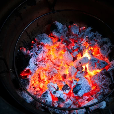 Kamado Joe - charcoal