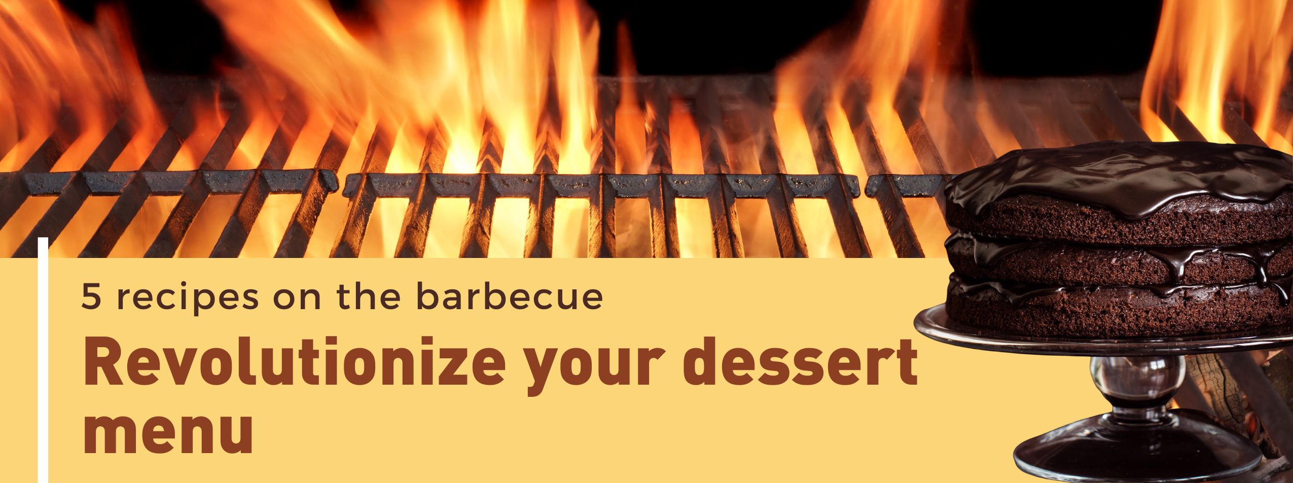 Bannière d'article (1)