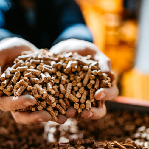 Article image of pellet for article on pellet barbecue