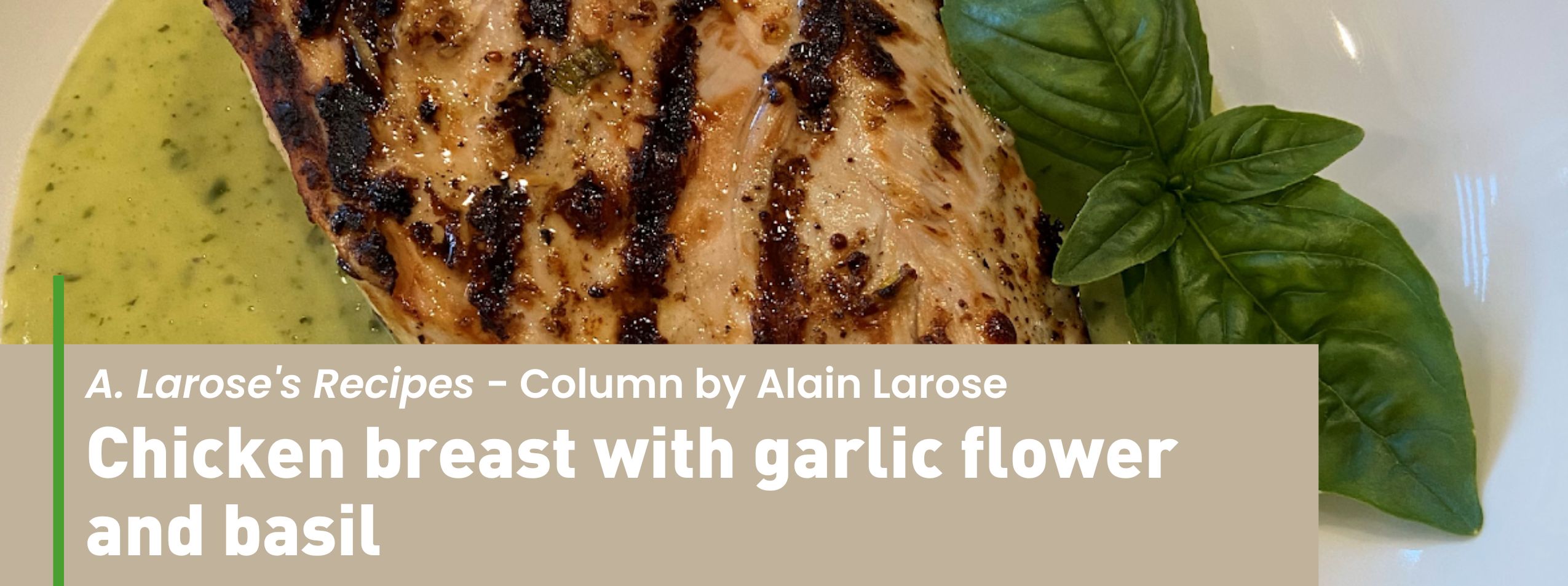 Banner for chicken breast with garlic flower and basil