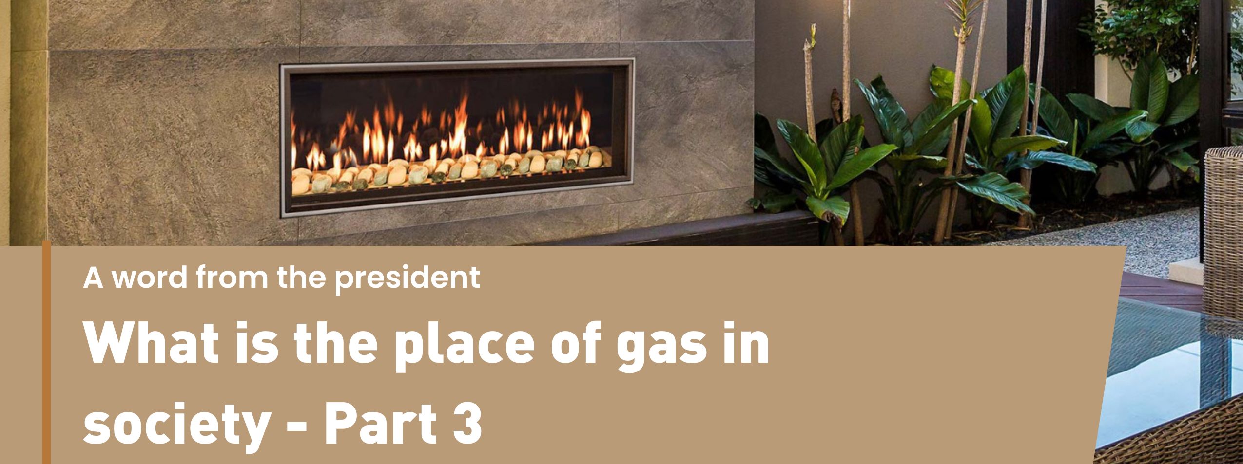 Bannière d'article (11)