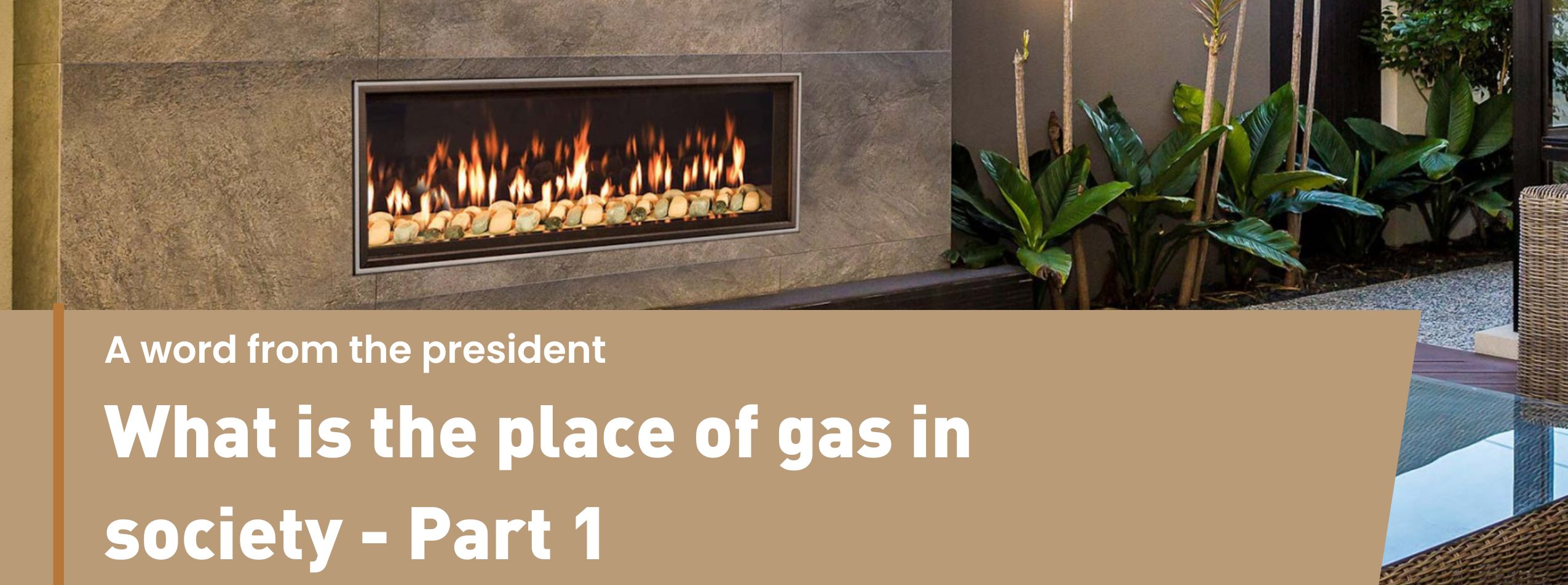 Bannière d'article (7)