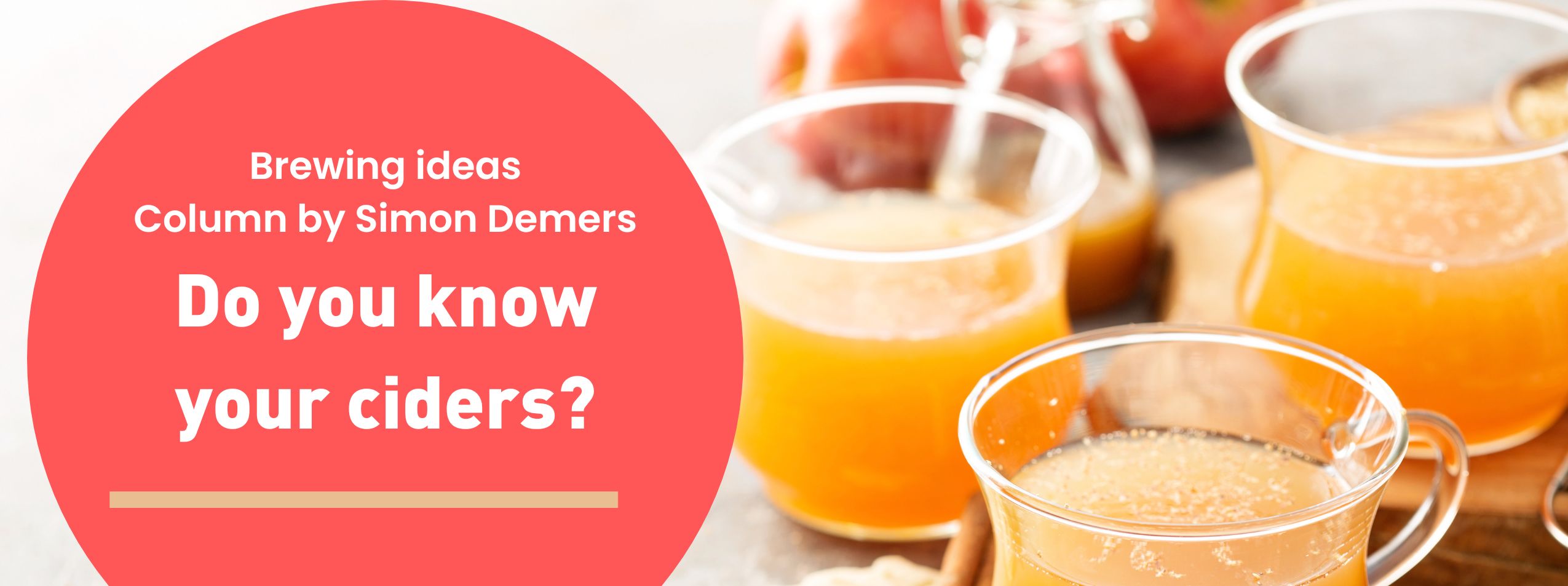 Bannière d'article (16)