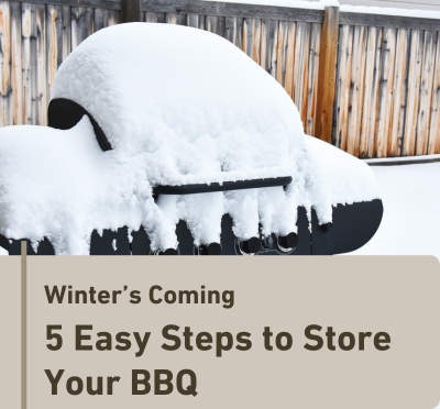 storing-bbq-winter