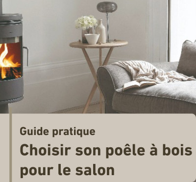 choisir-poele-bois-pour-salon
